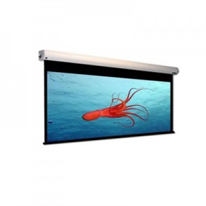 Microvision Motorized Screen EWSMV3040RL